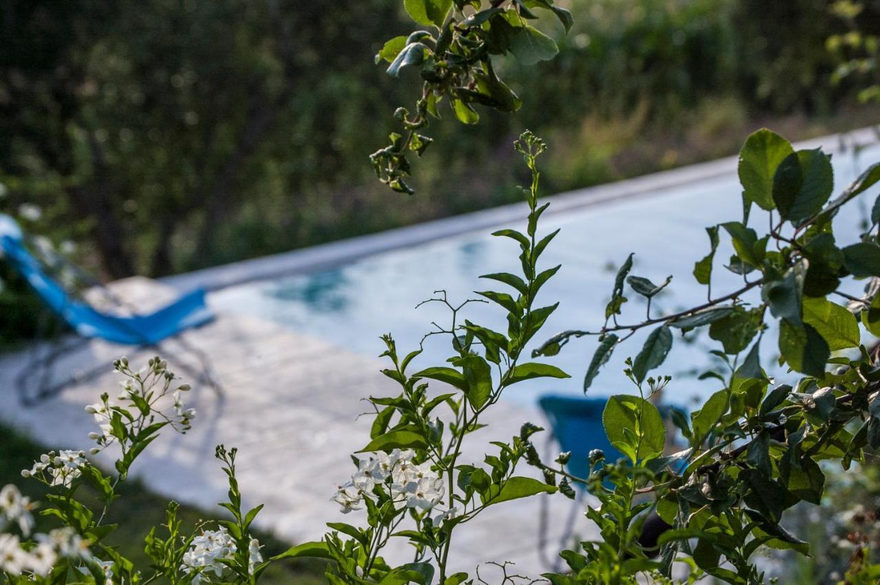 Tenuta San Rocco Conzano Exterior photo